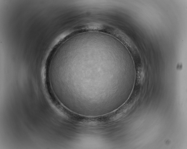 X0000102840726200808181347