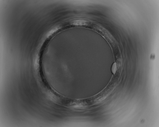 X0000102840727200808181347