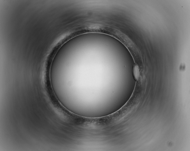 X0000102840728200808181347