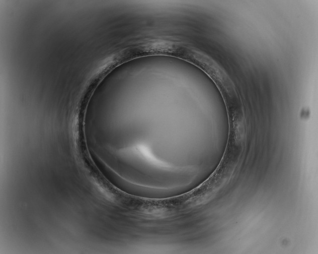 X0000102840729200808181347