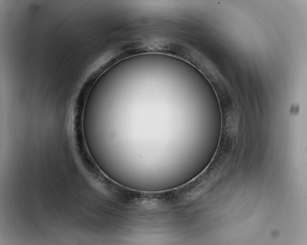 X0000102840730200808181347