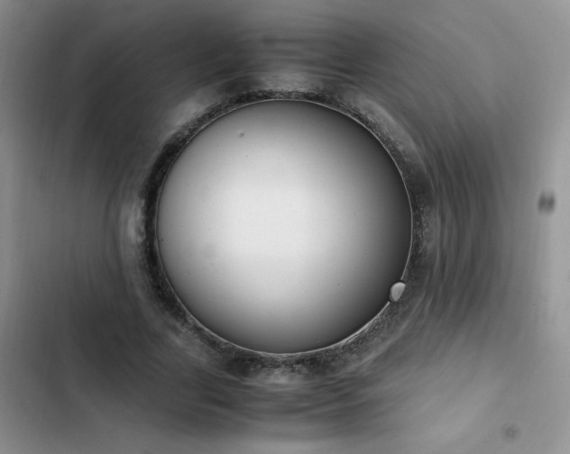 X0000102840731200808181347