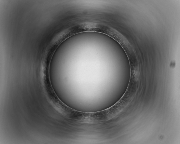 X0000102840732200808181347