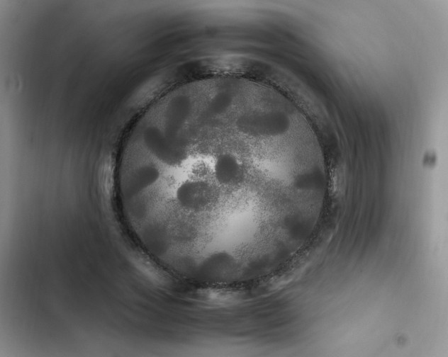 X0000102840733200808181347