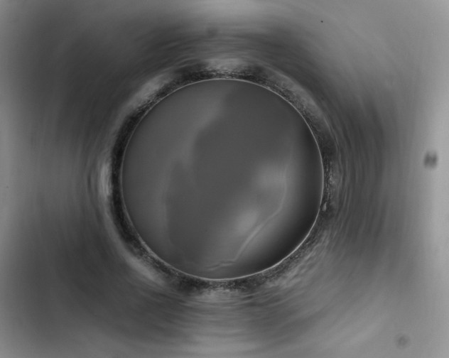 X0000102840734200808181347