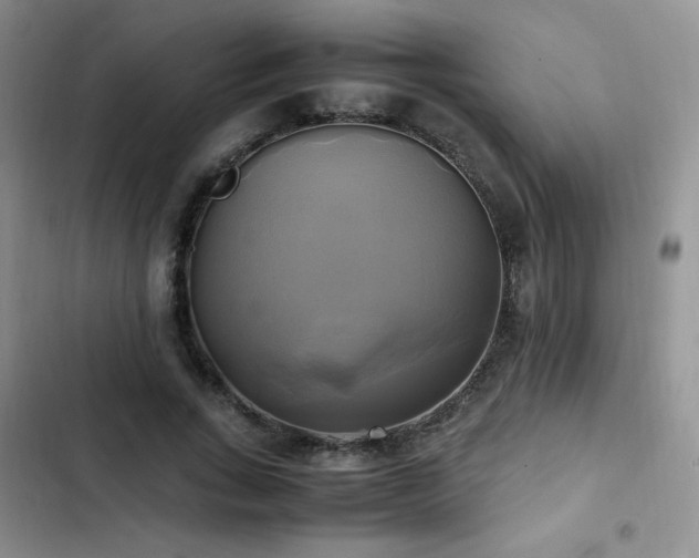 X0000102840735200808181347