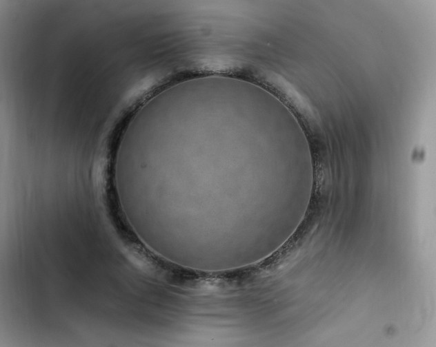 X0000102840736200808181347