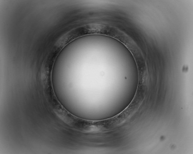 X0000102840737200808181347