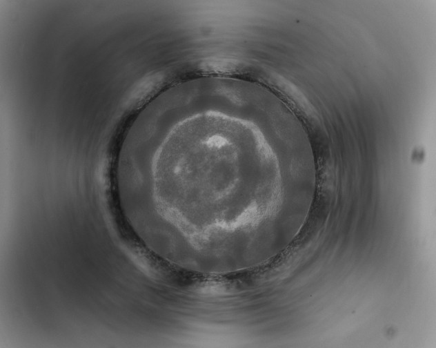 X0000102840738200808181347