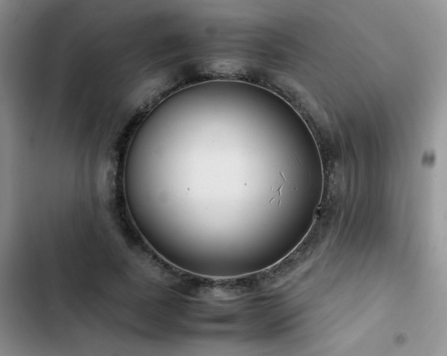 X0000102840739200808181347