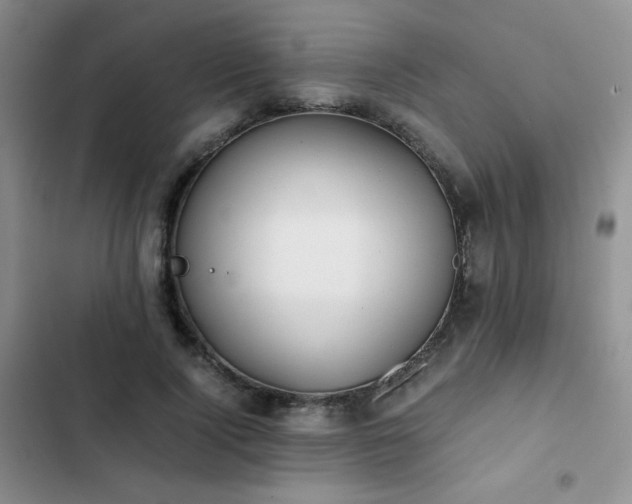 X0000102840740200808181347