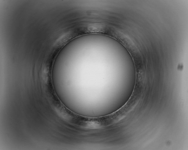 X0000102840741200808181347