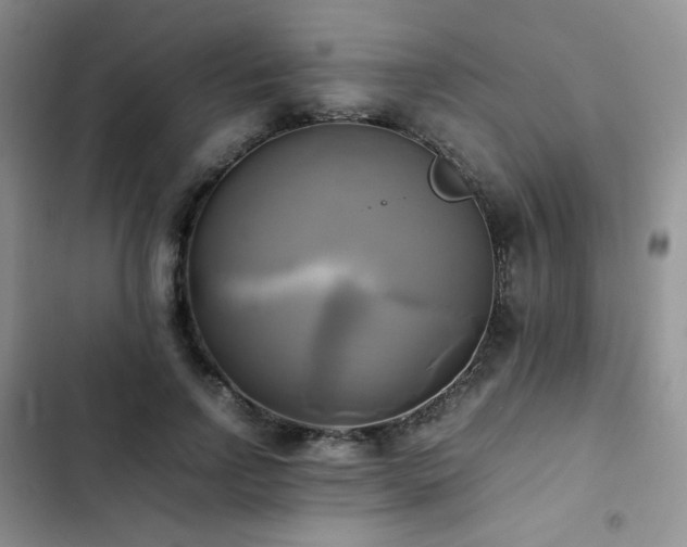 X0000102840742200808181347