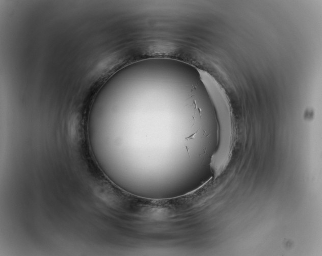 X0000102840743200808181347