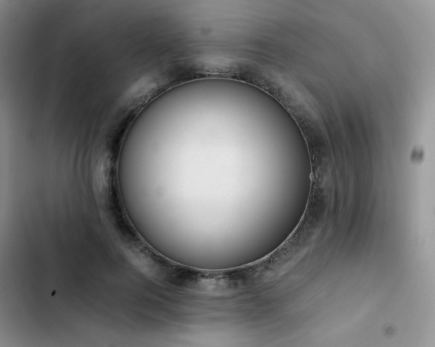 X0000102840744200808181347