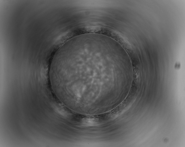 X0000102840745200808181347