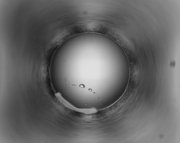 X0000102840746200808181347