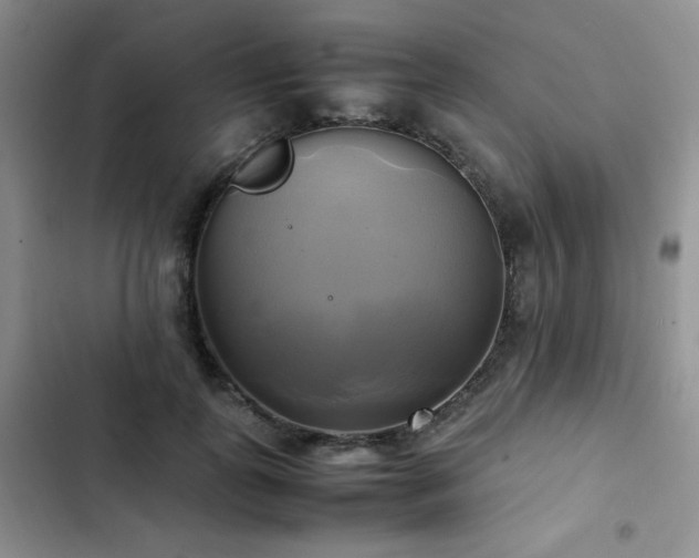 X0000102840747200808181347