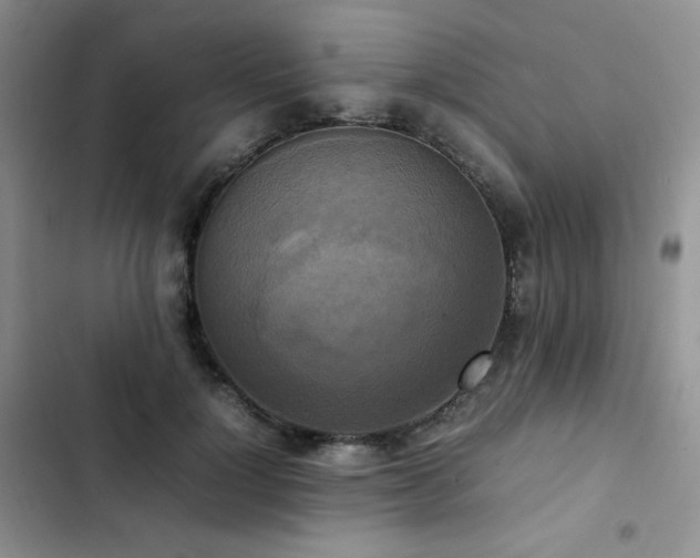 X0000102840748200808181347