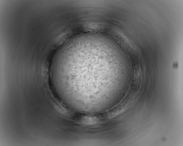 X0000102840749200808181347