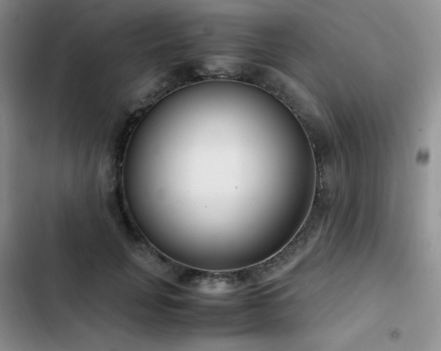 X0000102840751200808181348