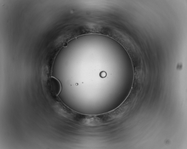 X0000102840752200808181348