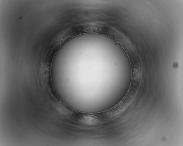 X0000102840753200808181348