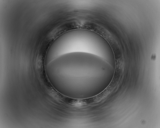 X0000102840754200808181348