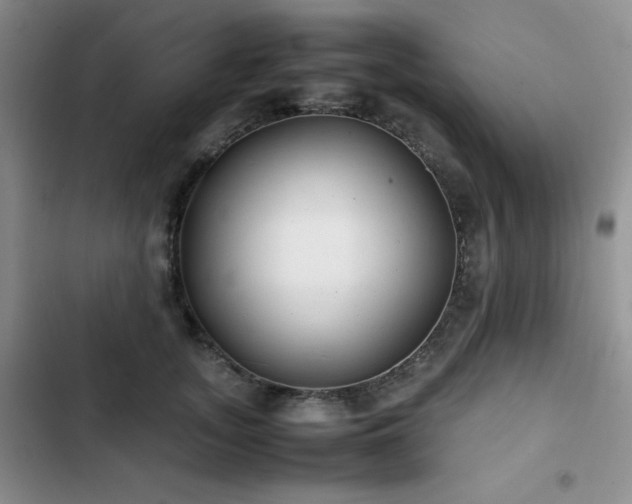 X0000102840755200808181348