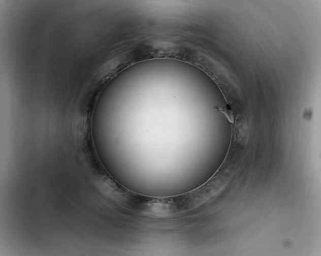 X0000102840756200808181348