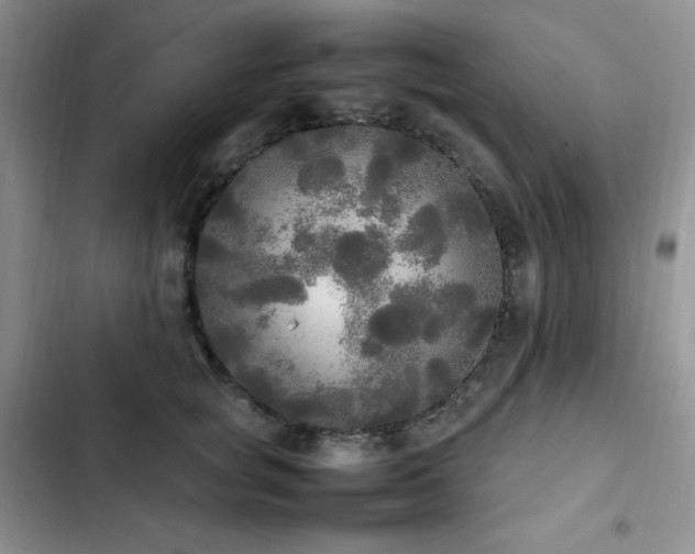 X0000102840757200808181348