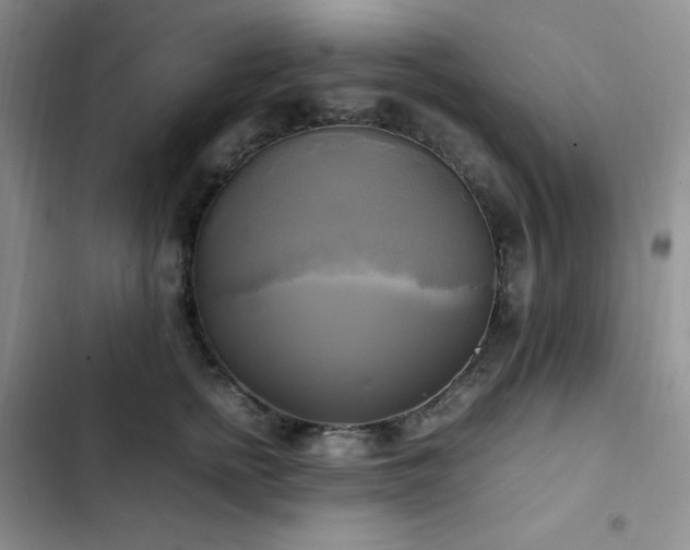 X0000102840758200808181348