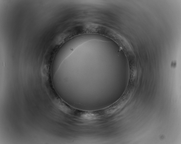 X0000102840759200808181348