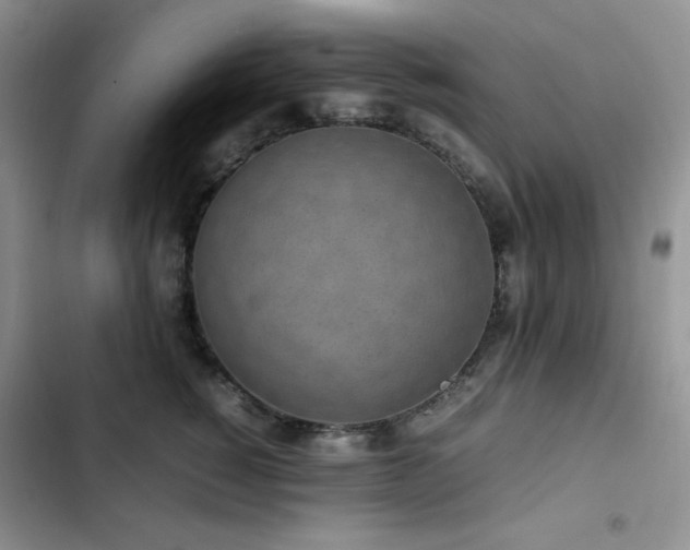 X0000102840760200808181348