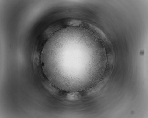 X0000102840761200808181348