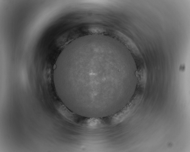 X0000102840762200808181348