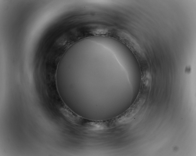 X0000102840763200808181348