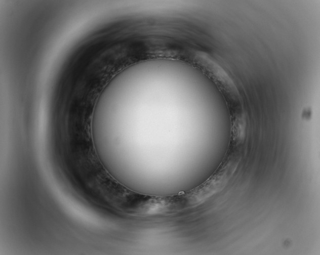 X0000102840764200808181348