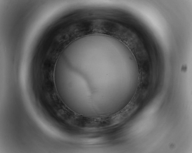 X0000102840765200808181348