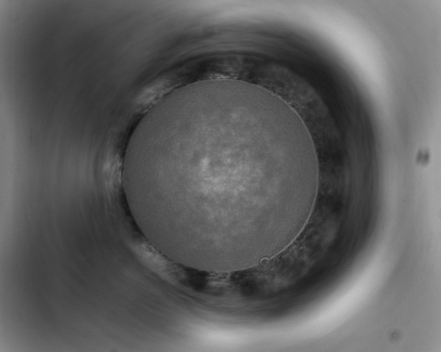 X0000102840766200808181348