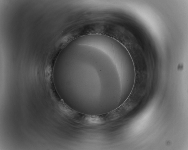 X0000102840767200808181348