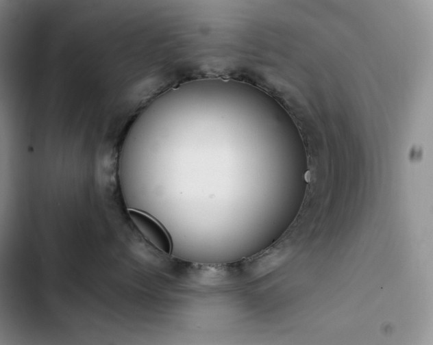 X0000102840768200808181348