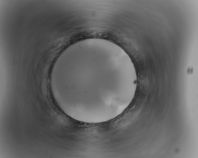 X0000102840769200808181347