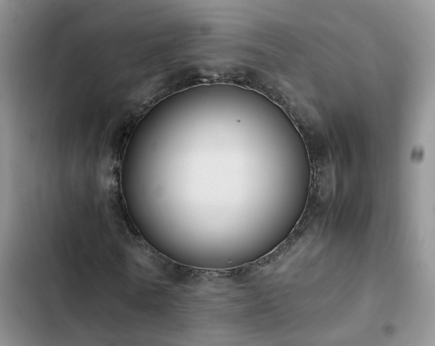 X0000102840770200808181347