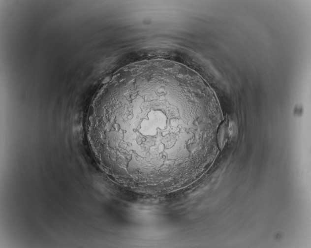 X0000102840771200808181347