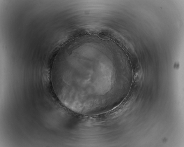 X0000102840772200808181347