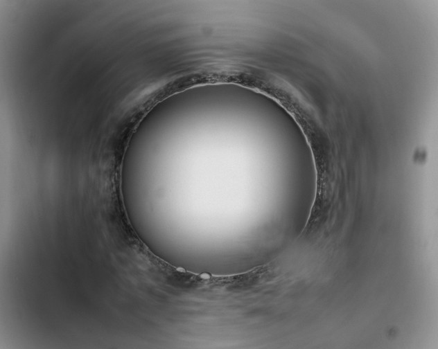 X0000102840773200808181347