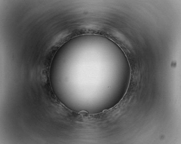 X0000102840774200808181347