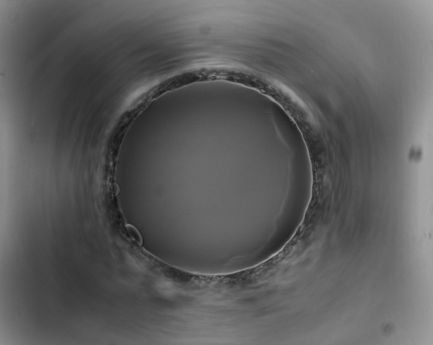 X0000102840775200808181347