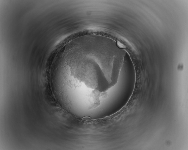 X0000102840776200808181347